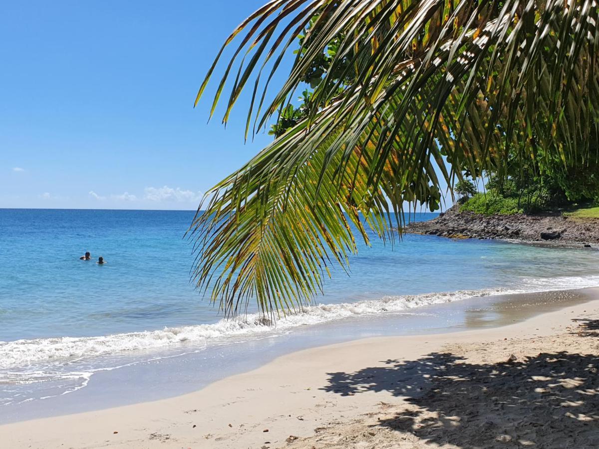 Ti Oasis Trinidad, Studio Vue Mer A Pierre & Vacances サント・リュス エクステリア 写真