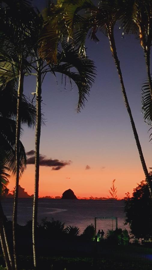 Ti Oasis Trinidad, Studio Vue Mer A Pierre & Vacances サント・リュス エクステリア 写真