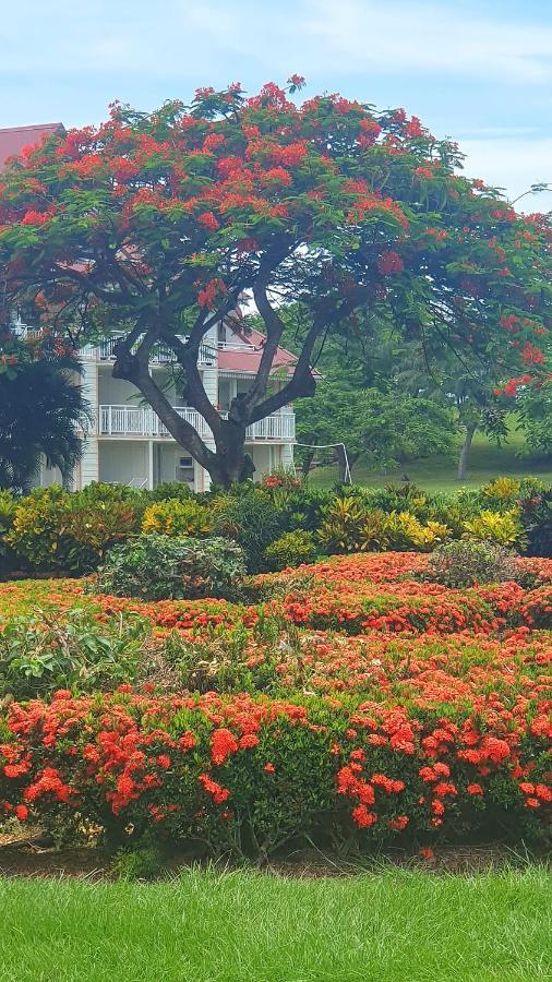 Ti Oasis Trinidad, Studio Vue Mer A Pierre & Vacances サント・リュス エクステリア 写真