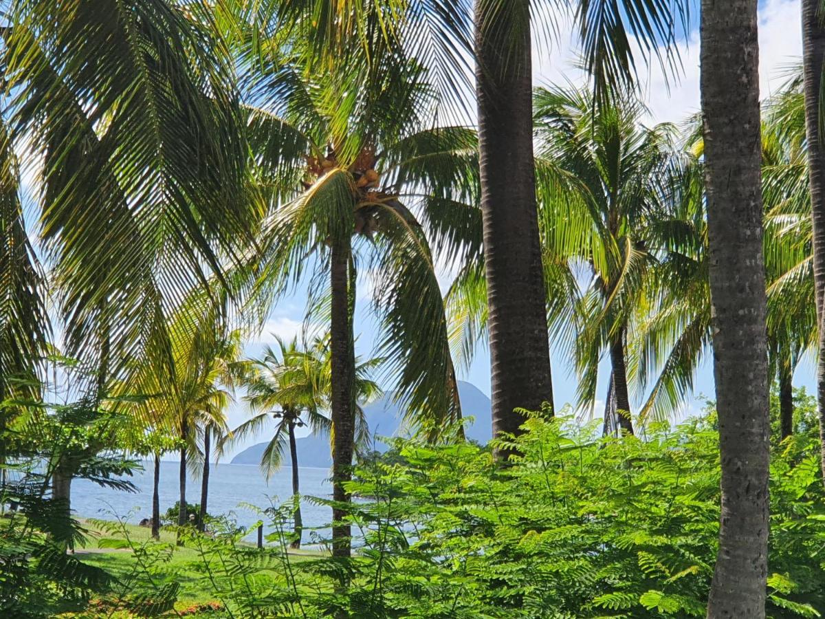 Ti Oasis Trinidad, Studio Vue Mer A Pierre & Vacances サント・リュス エクステリア 写真